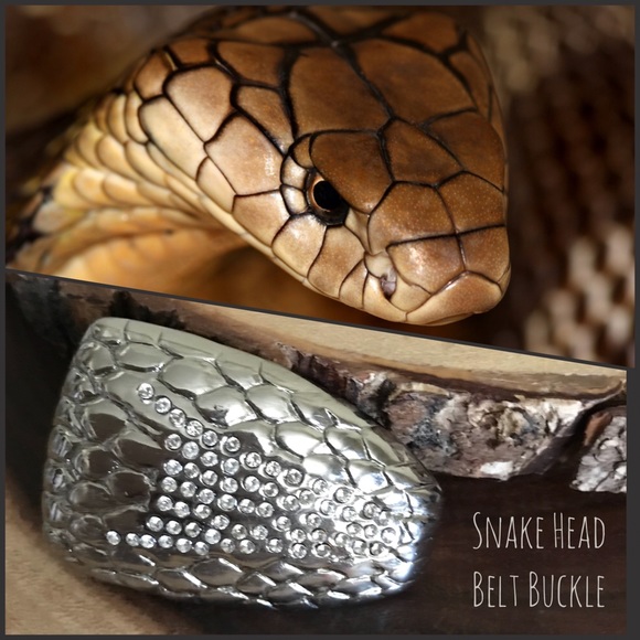snake head belt